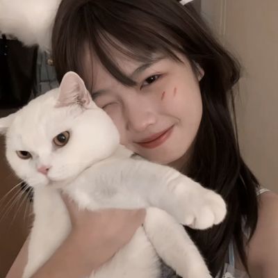 哥们网游戏平台下载