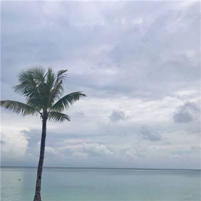 渡劫仙域手游下载